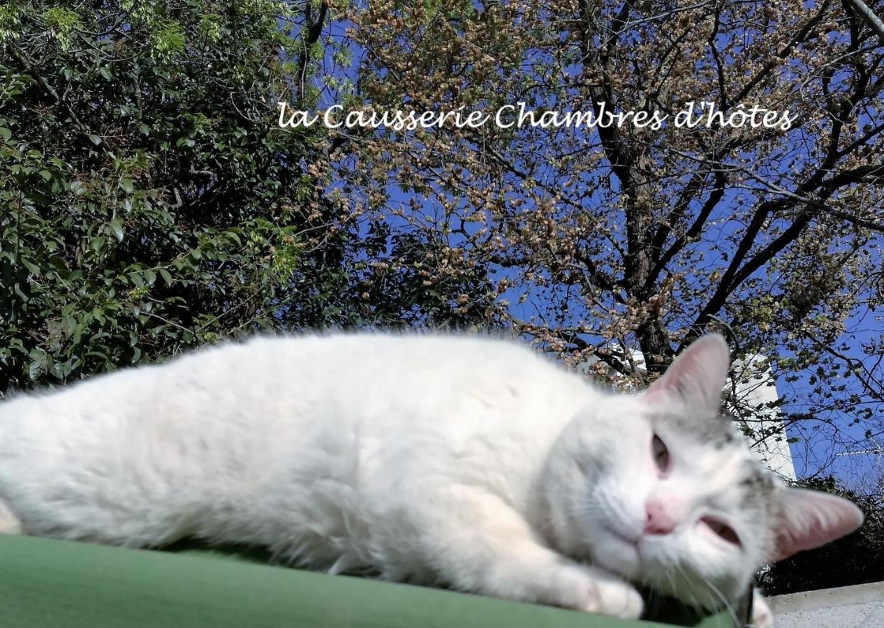 La Causserie, 2 Chambres D'Hotes, 2 A 4 Invites, Pour Vous Seuls グラマ エクステリア 写真